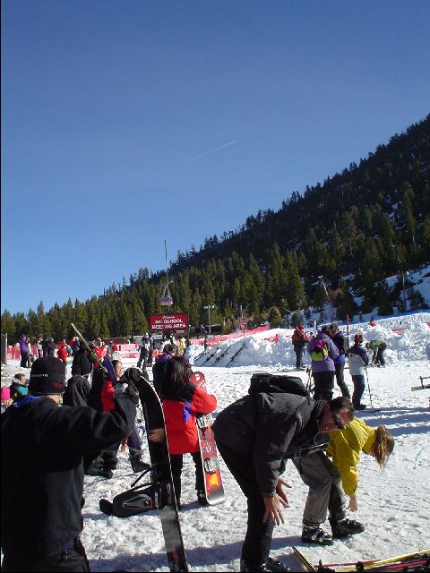 DSC00018-R.JPG
<No Caption>