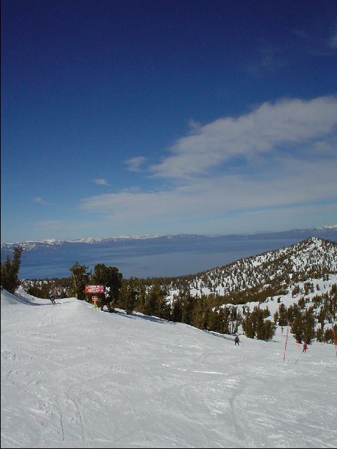 DSC00026-R.JPG
<No Caption>