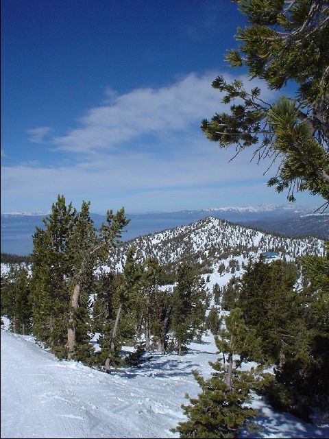 DSC00027-R.JPG
<No Caption>