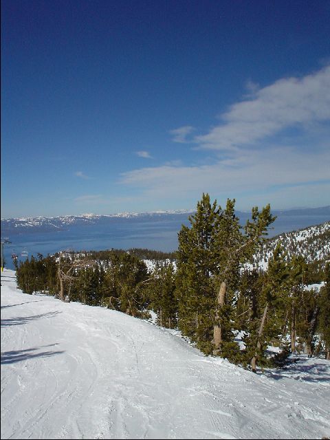 DSC00028-R.JPG
<No Caption>