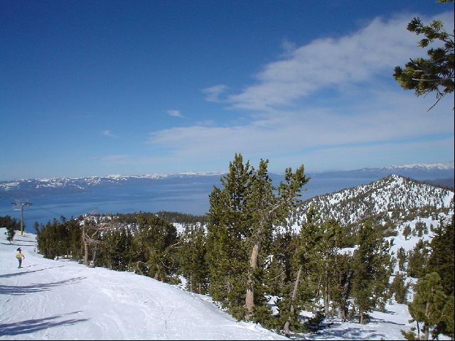 DSC00029.JPG
<No Caption>