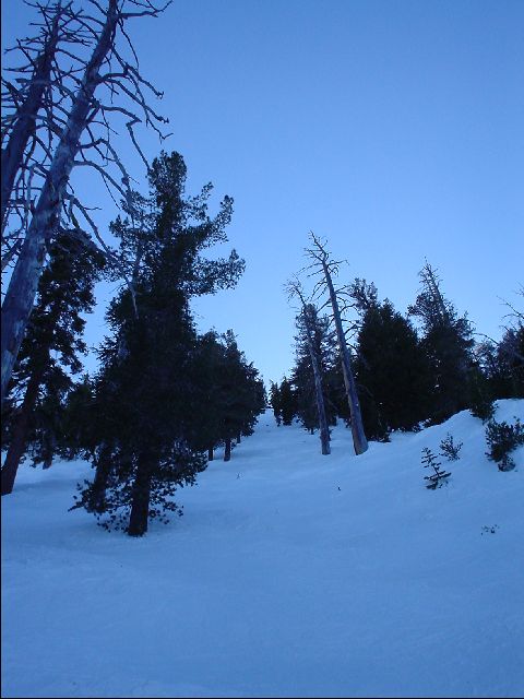 DSC00033-R.JPG
<No Caption>