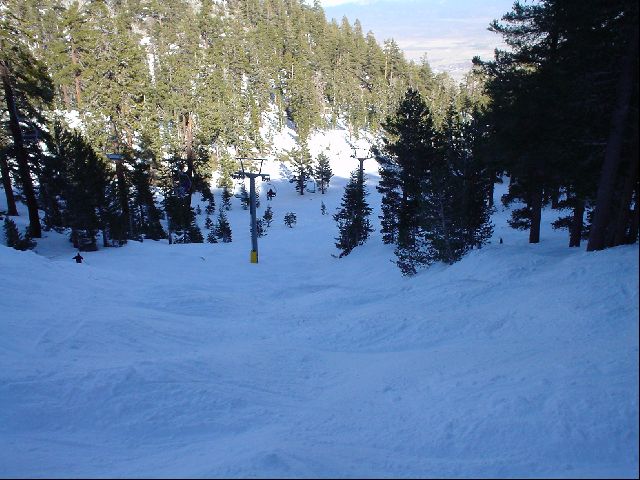 DSC00036.JPG
<No Caption>