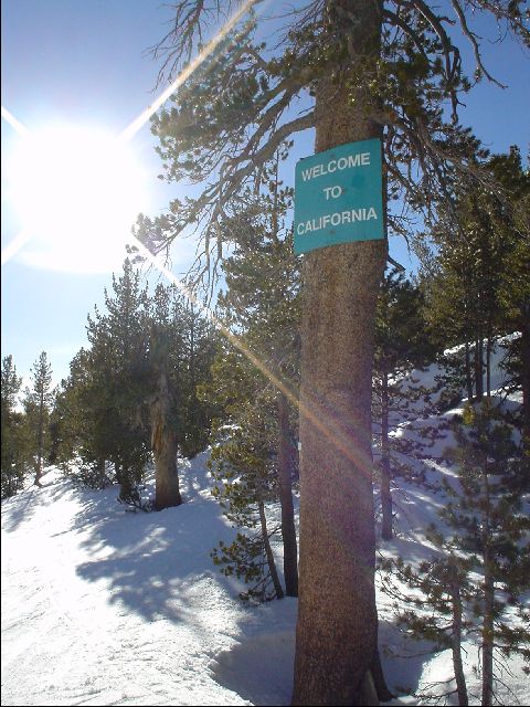 DSC00037-R.JPG
<No Caption>