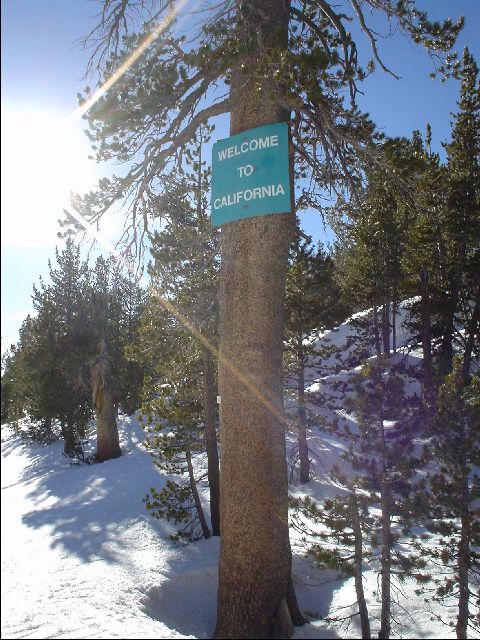 DSC00038-R.JPG
<No Caption>