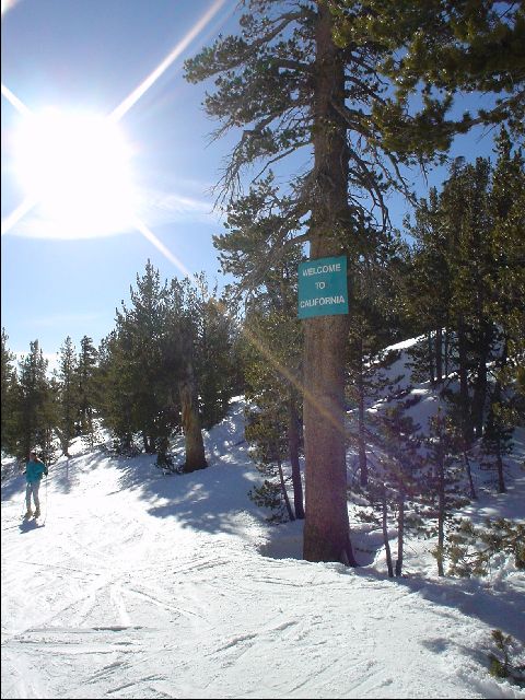 DSC00040-R.JPG
<No Caption>